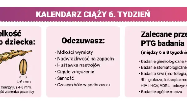 W którym tygodniu ciąży do lekarza? Twój plan pierwszej wizyty