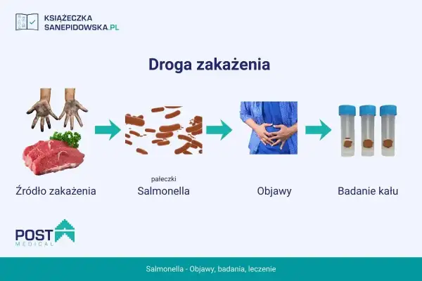 Droga zakażenia Salmonellą: od surowego mięsa i brudnych rąk, przez bakterie, do objawów bólu brzucha i badań kału.