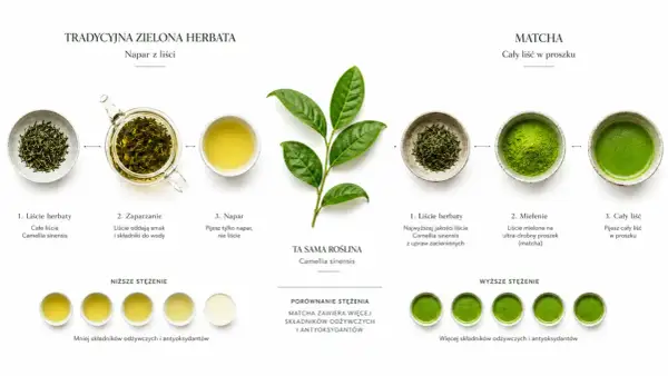 Porównanie tradycyjnej zielonej herbaty i matchy. Matcha, dzięki mieleniu całych liści, ma bogatsze matcha właściwości odżywcze i antyoksydacyjne.